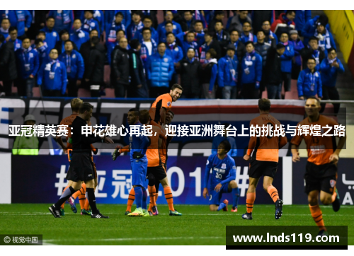 亚冠精英赛：申花雄心再起，迎接亚洲舞台上的挑战与辉煌之路