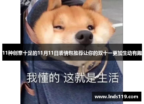 11种创意十足的11月11日表情包推荐让你的双十一更加生动有趣